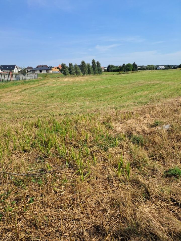 Działka rolno-budowlana Kąty. Zdjęcie 6