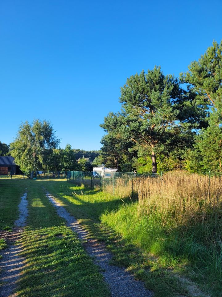 Działka rolno-budowlana Wisełka, ul. Lipowa. Zdjęcie 1