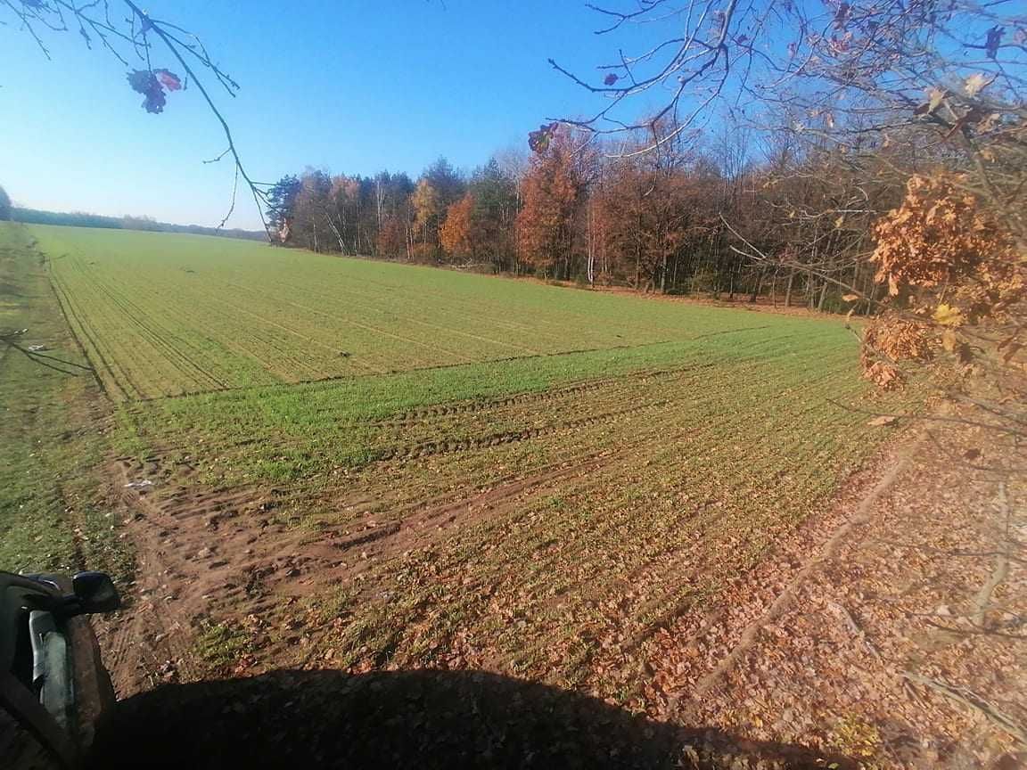 Działka Kondrajec Szlachecki. Zdjęcie 2