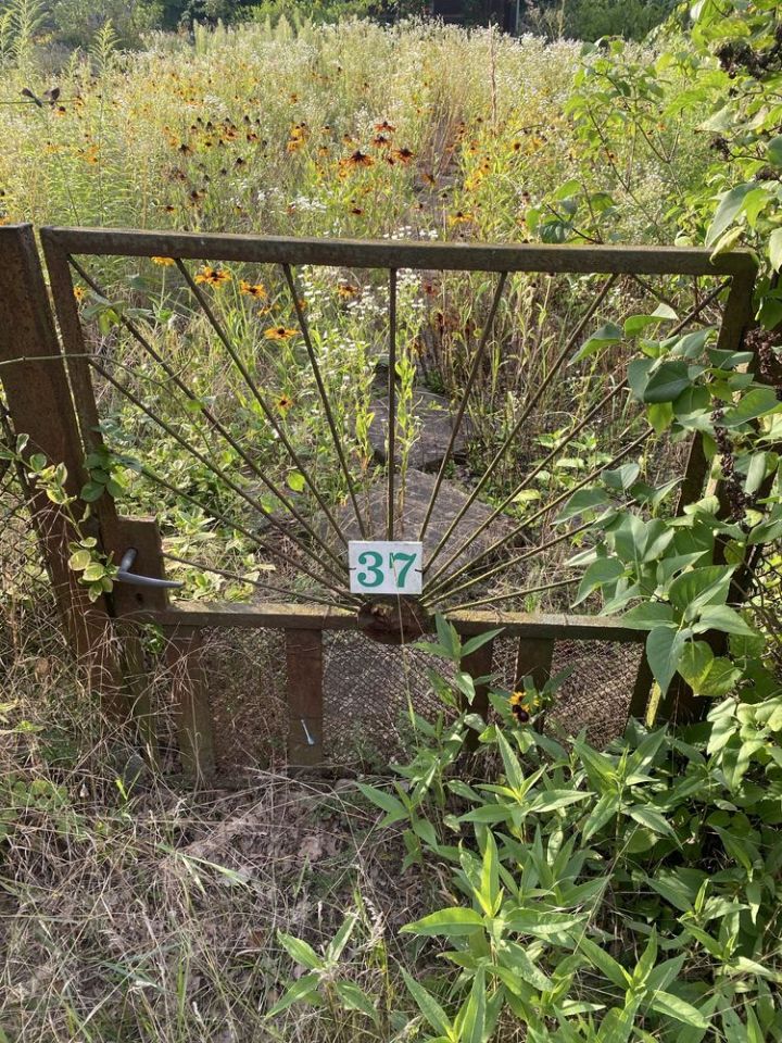 Działka rod Wrocław Muchobór Mały, ul. Francuska. Zdjęcie 3