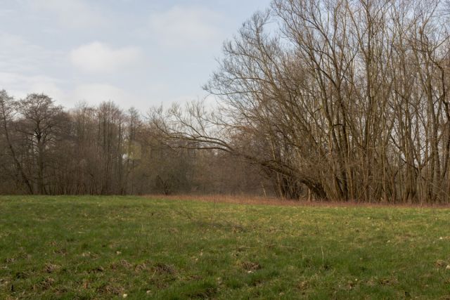 Działka inwestycyjna Błonie. Zdjęcie 2