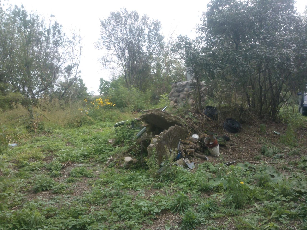 Działka siedliskowa Kosiorki. Zdjęcie 6