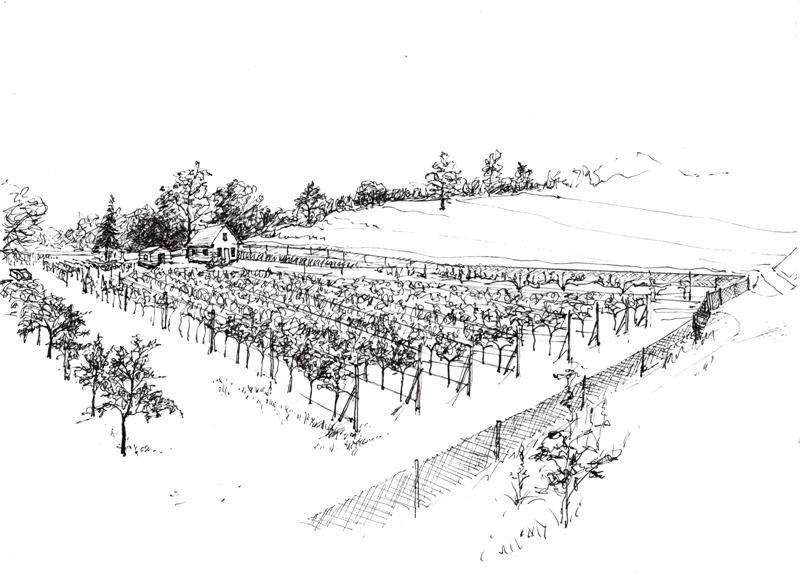 Działka rolno-budowlana Byczeń, -. Zdjęcie 7