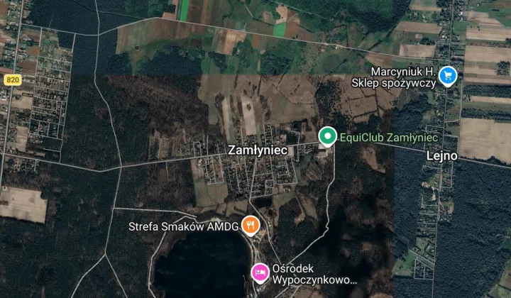 Działka budowlana Lejno Zamłyniec, Zamłyniec