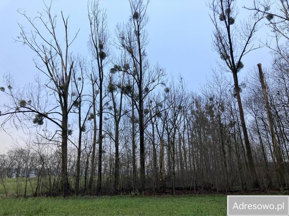Nieruchomość komercyjna Łagiewniki Wielkie. Zdjęcie 2