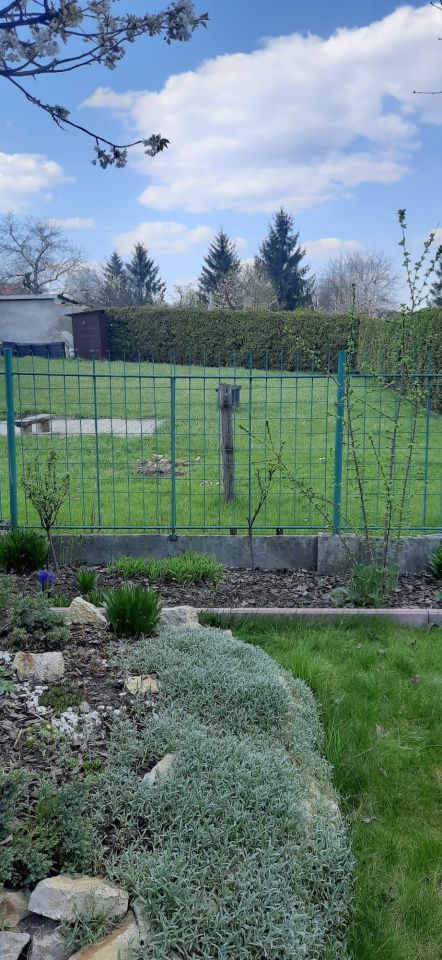 Działka rod Piekary Śląskie Brzeziny Śląskie. Zdjęcie 4