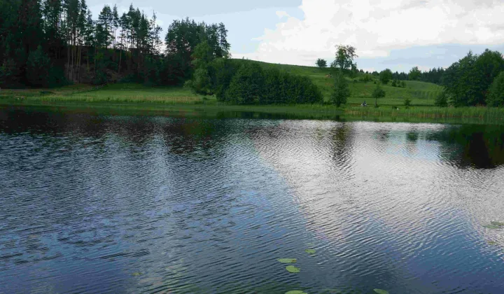 Działka siedliskowa Osinki