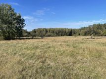 Działka rolna Jedlina. Zdjęcie 4