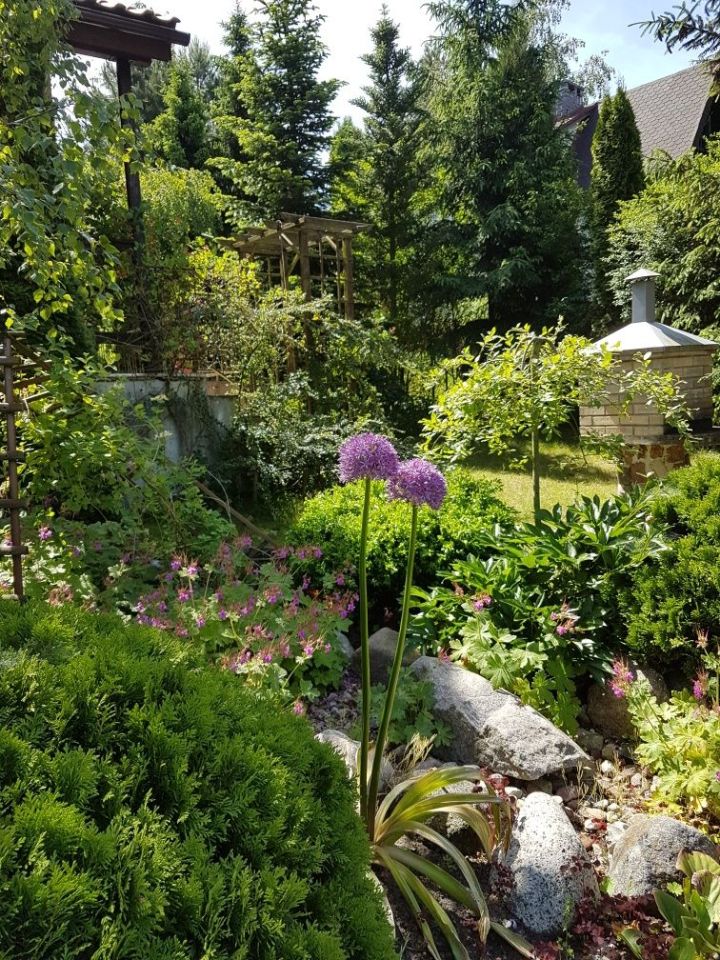 Działka rod Wójcin. Zdjęcie 5