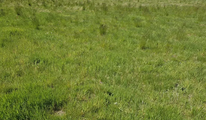 Działka budowlana Rębiszów