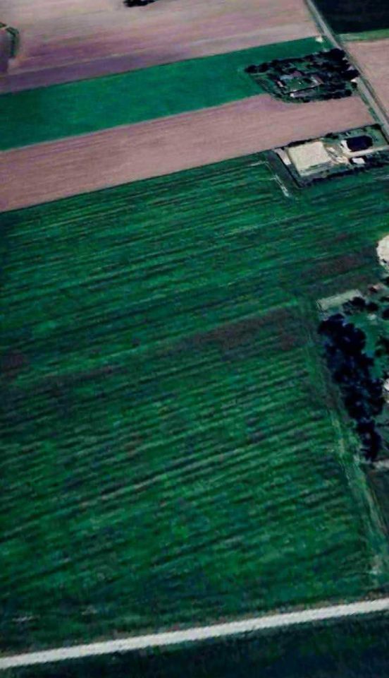 Działka rolna Nowa Wioska. Zdjęcie 2