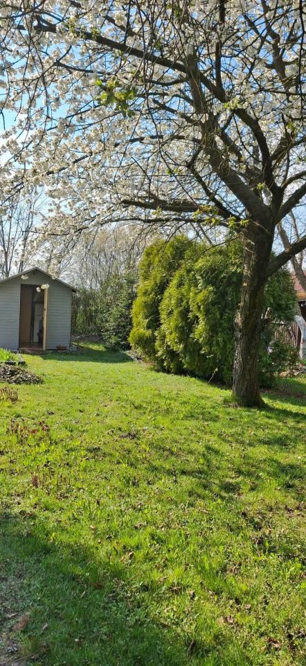 Działka rod Lubliniec, ul. Strzelecka. Zdjęcie 6