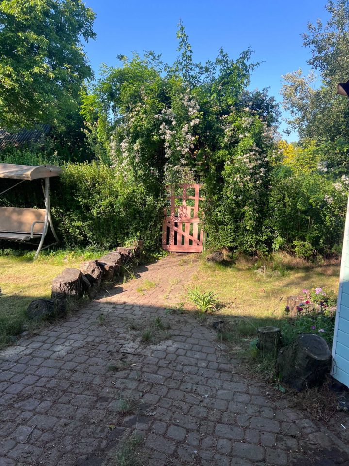 Działka rod Kanie. Zdjęcie 7