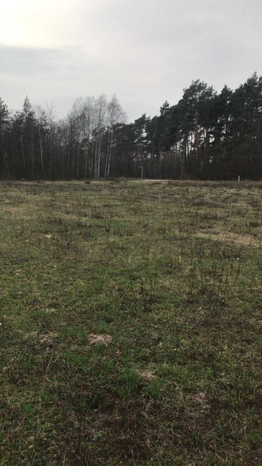 Działka budowlana Sosnówka. Zdjęcie 7