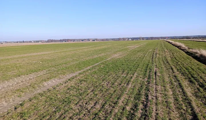 Działka rolna Rzeczyca, ul. Przeciętka