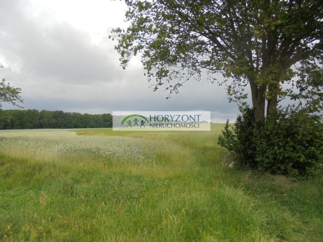 Działka budowlana Szemudzka Huta. Zdjęcie 3
