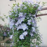 Mieszkanie 2-pokojowe Słupsk Nadrzecze , ul. Joachima Lelewela. Zdjęcie 4