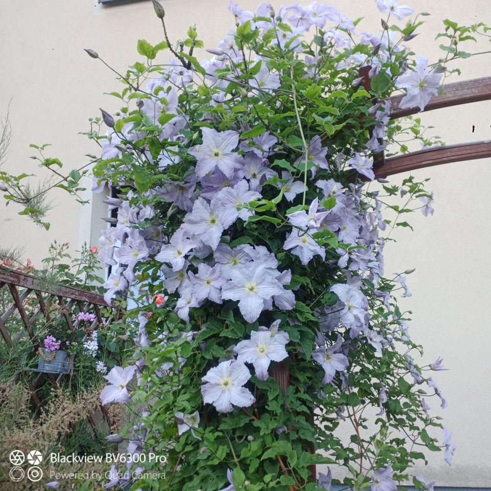 Mieszkanie 2-pokojowe Słupsk Nadrzecze , ul. Joachima Lelewela. Zdjęcie 5