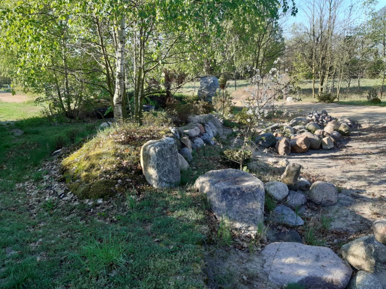 Działka budowlana Podbiel Krupińskie, Sosnowa. Zdjęcie 24