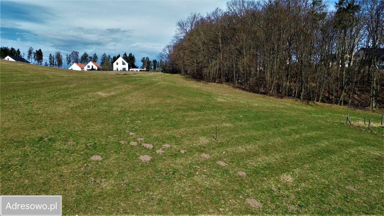 Działka budowlana Borkowo. Zdjęcie 4