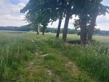Działka budowlana Kociołki. Zdjęcie 2