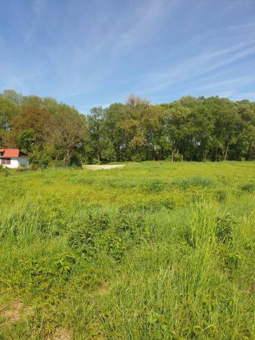 Działka rekreacyjna Zabierzów, ul. Nad Wodą. Zdjęcie 18