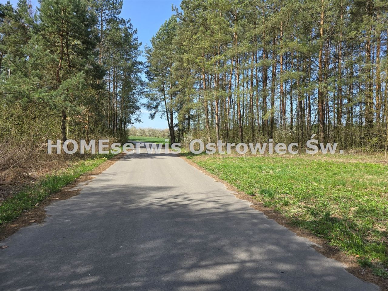 Działka Nowe. Zdjęcie 6