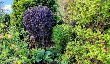 Działka rekreacyjna Świdwin