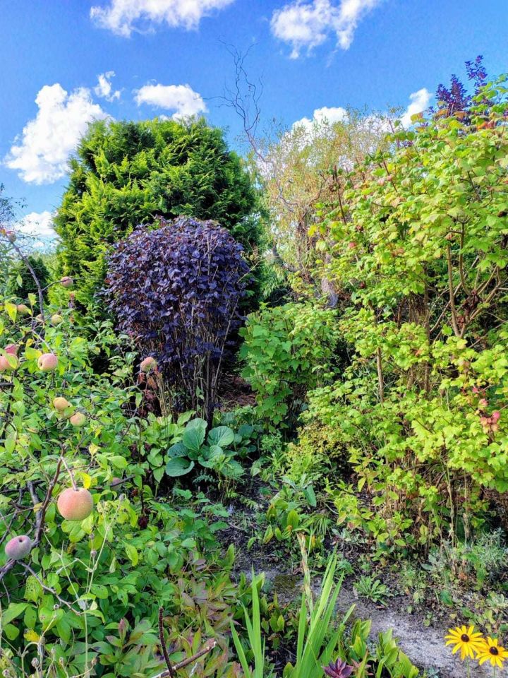 Działka rekreacyjna Świdwin. Zdjęcie 2