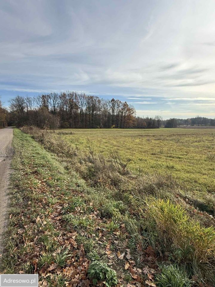 Działka budowlana Pokrzywnica, ul. Wiosenna. Zdjęcie 2