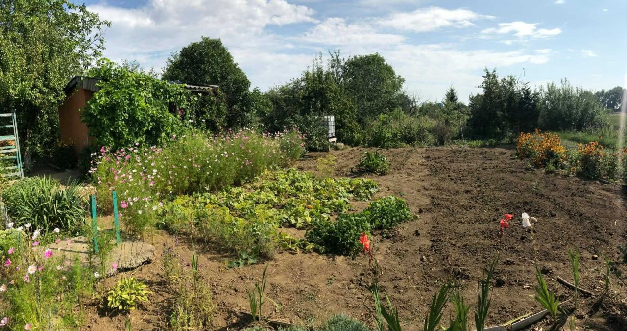 Działka rod Nowy Dwór Gdański. Zdjęcie 6