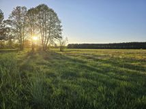 Działka budowlana Brzóze Małe. Zdjęcie 1