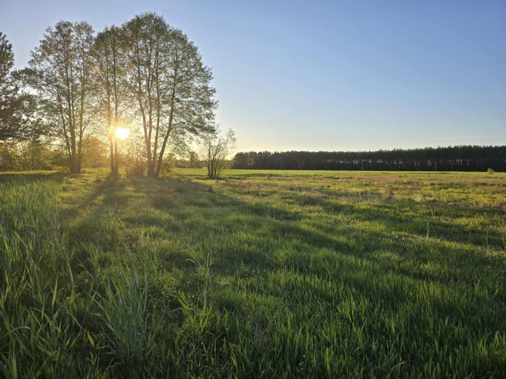 Działka budowlana Brzóze Małe. Zdjęcie 2