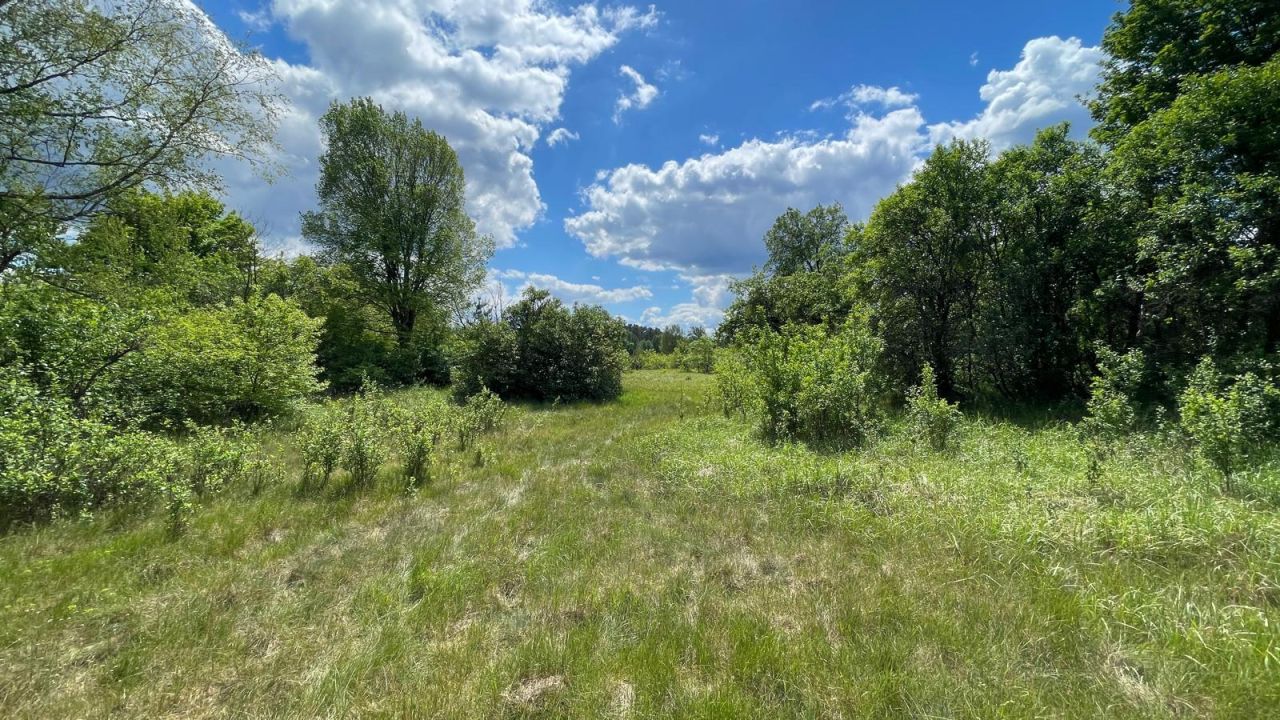 Działka budowlana Siedlisko. Zdjęcie 5