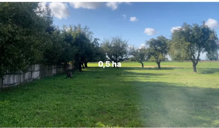 Działka rolno-budowlana Janów