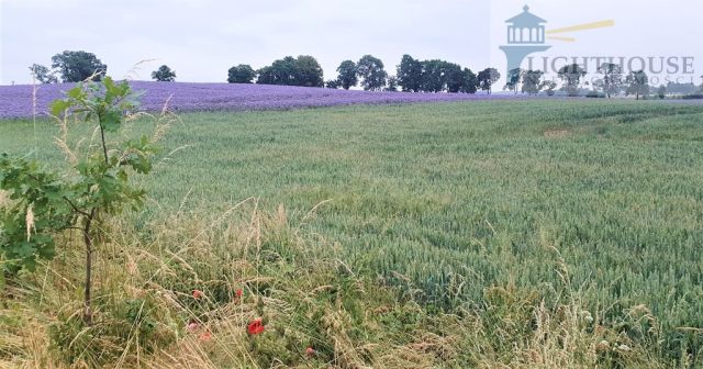 Działka inwestycyjna Trąbki Wielkie. Zdjęcie 3