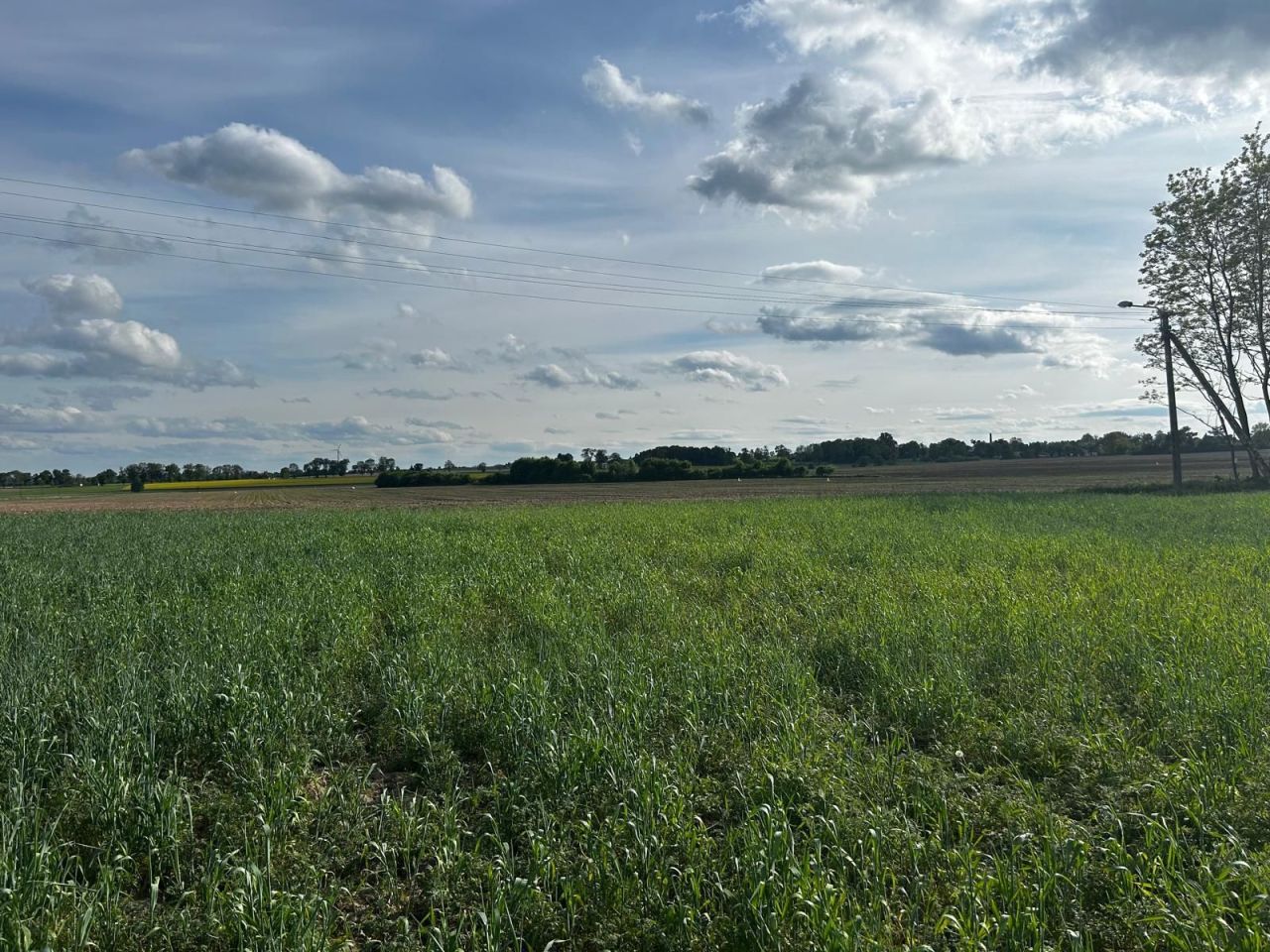 Działka budowlana Zabłocie. Zdjęcie 6