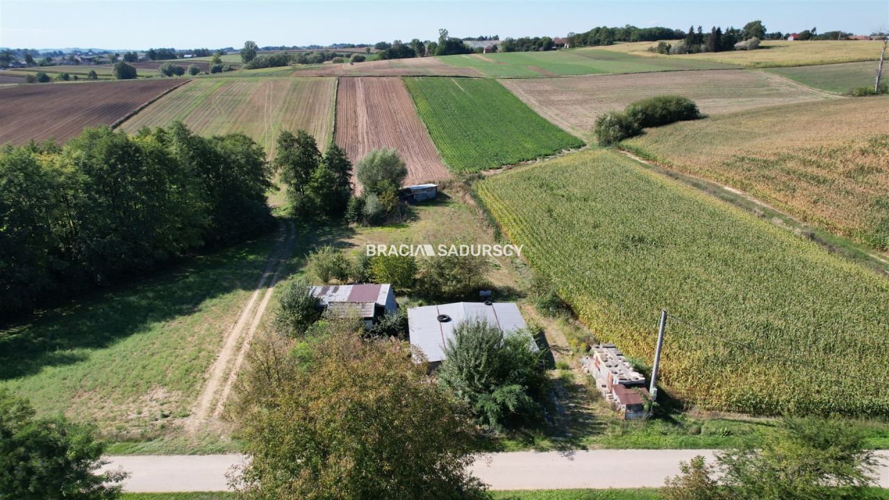 Działka rolna Gunów-Wilków. Zdjęcie 9