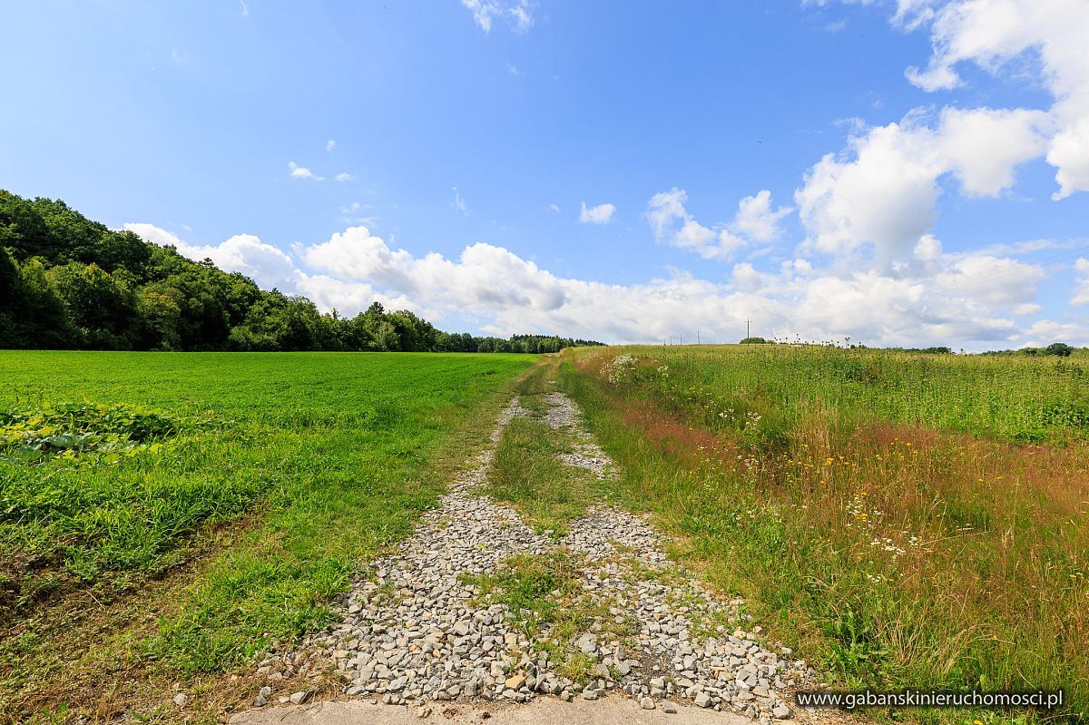 Działka budowlana Olszyny. Zdjęcie 11