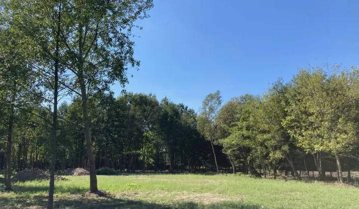 Działka budowlana Mościska, ul. Skowronkowa