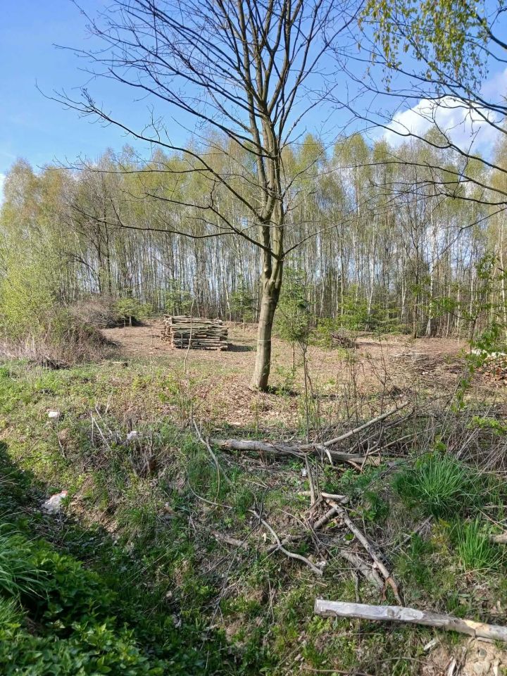 Działka budowlana Gębiczyna. Zdjęcie 2