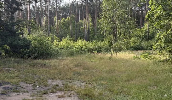 Działka budowlana Olszowe