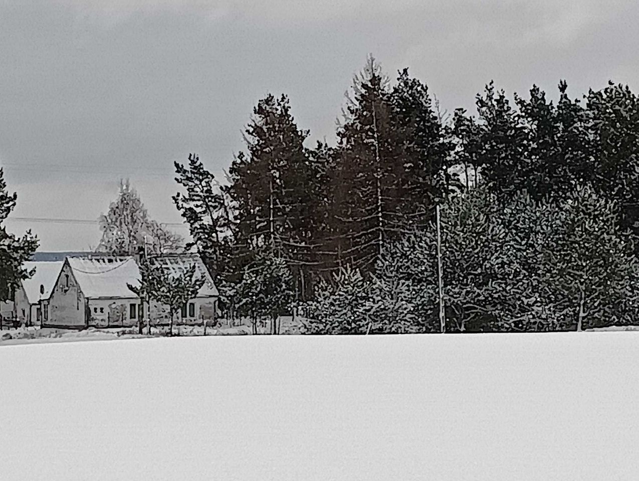 gospodarstwo Kurzejewo. Zdjęcie 3