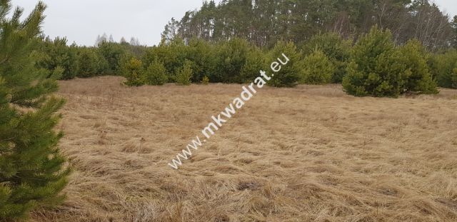 Działka budowlana Budy Iłowskie. Zdjęcie 4