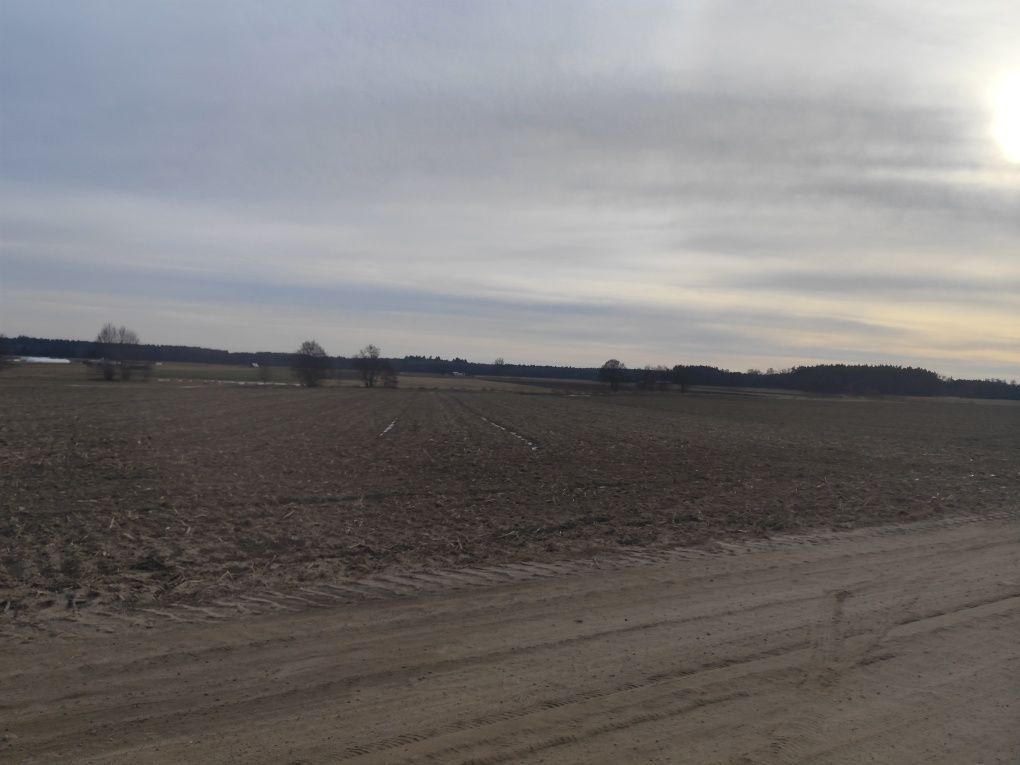 Działka rolna Boruszyn. Zdjęcie 7