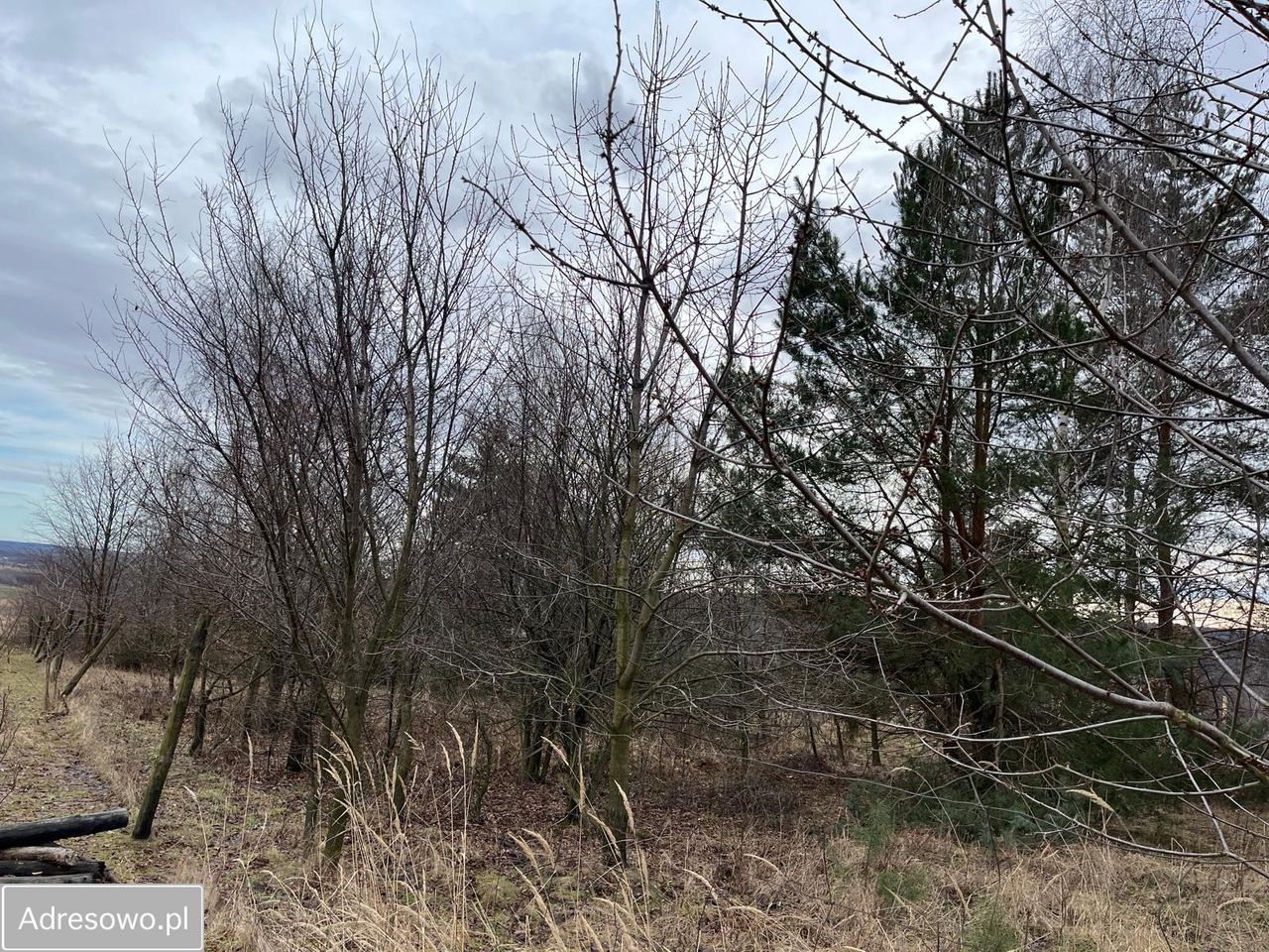 Działka budowlana Kuropatnik, ul. Widokowa. Zdjęcie 4