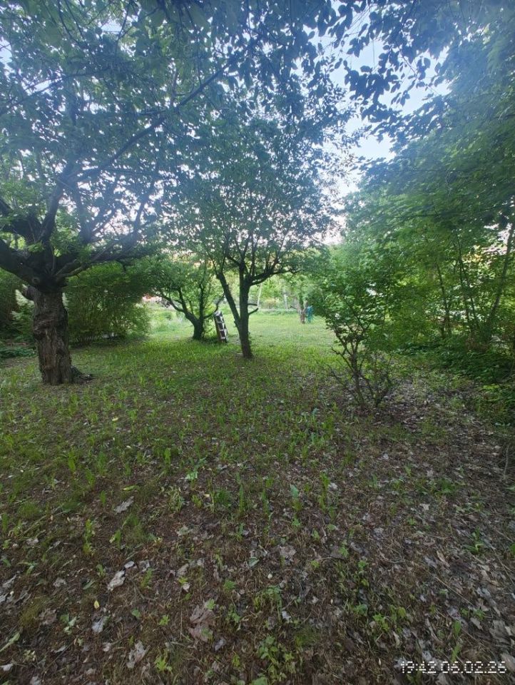 Działka rod Grudziądz, ul. Kwidzyńska. Zdjęcie 8