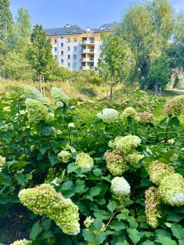 Mieszkanie 2-pokojowe Warszawa Ursynów, ul. Jerzego Zaruby. Zdjęcie 3