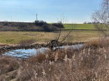 Działka siedliskowa Rgielsko. Zdjęcie 4