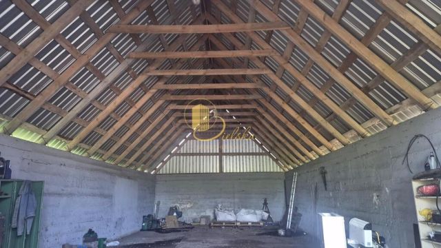 Działka Czechowizna. Zdjęcie 7